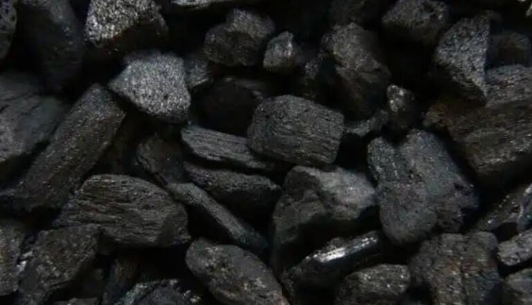 Biochar